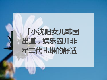 小沈阳女儿韩国出道，娱乐圈并非星二代扎堆的舒适区｜文艺评论
